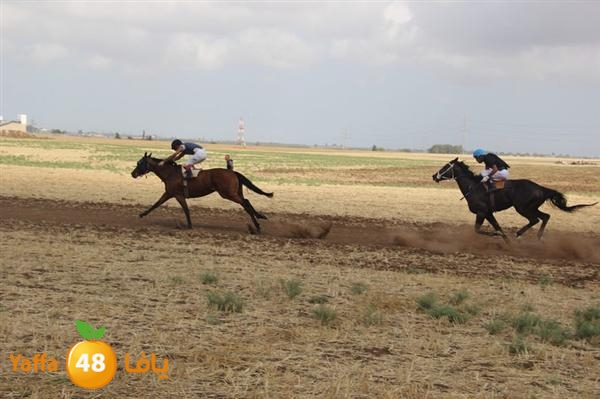 khoyoul lud 0610 (6).JPG